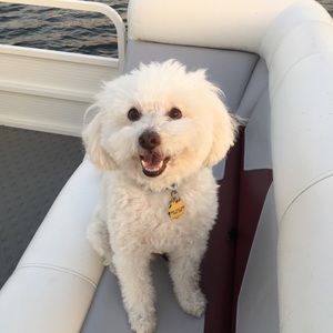 Meet your Posher, Alli